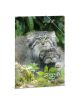 Папка с ластик Ars Una Serenity-manul (5331)