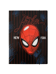 Папка с ластик COOLPACK A4_2 Spiderman