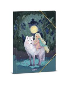 Папка с ластик Northern Lights Ars Una (5527) 
