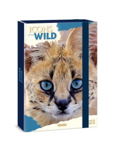 Кутия с ластик А4 Ars Una Icons of the Wild - Serval