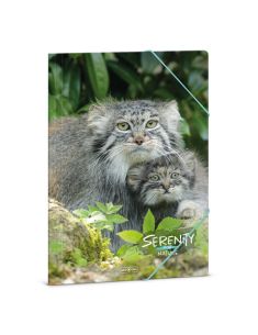 Папка с ластик Ars Una Serenity-manul (5331)